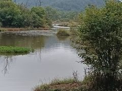 -大九湖