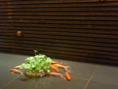 景观位-申宴酒楼(王子百货店)