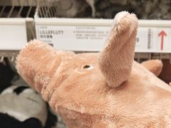 -宜家家居(哈尔滨商场店)