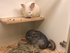 -龙猫仔乐园(惠福东路店)