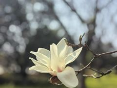 -南京工程学院(江宁校区)