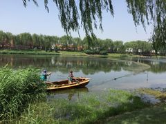 -东郊湿地公园