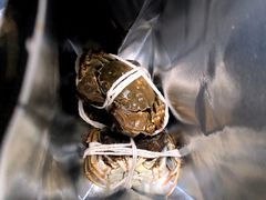 -阳澄湖大闸蟹·琼灵阁牌品牌连锁(吴中总店)