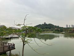 -王借岗森林公园
