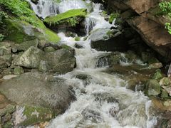 -陕西省红河谷森林公园