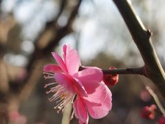 -鹦鹉寺公园