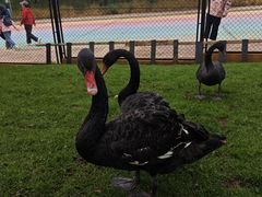 -南戴河国际娱乐中心