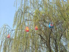 -梁鸿国家湿地公园