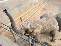 -西霞口神雕山野生动物世界