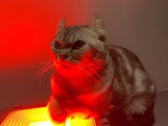 -极木²邸 人与宠物·互动社区
