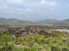 -四明山国家森林公园
