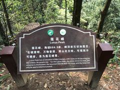 -缙云山景区