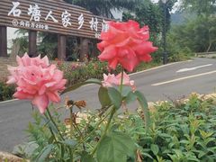 -石塘人家