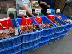-食神又名厕所兔