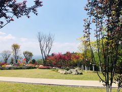 -铁山坪森林公园