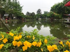 -洪湖家庭农场·团建·露营·会议