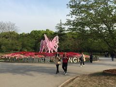 -上海植物园-4号门售票处