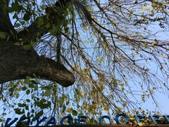 -VOYAGE COFFEE(北锣鼓巷店)