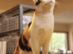 -麦田书店(国防路店)