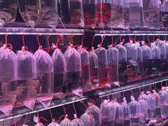 -中环花鸟鱼虫市场