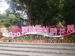 -莲花山公园