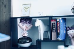 -臣丽纹眉品牌连锁