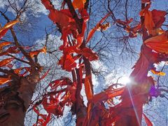 -叠溪松坪沟景区