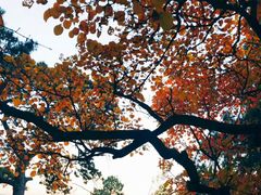 -香山公园-东宫门售票处