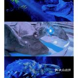 广州亲子游↗环球侏罗纪特展空降老西湾