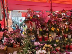 -越秀西湖花市(广州城市广场花卉店)
