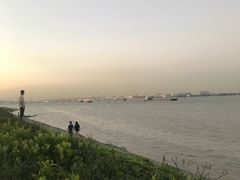 -海鸥岛