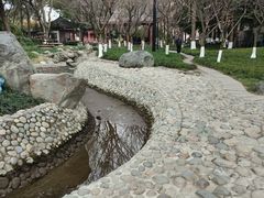 -温江公园