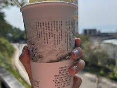 -茶颜悦色(岳麓山顶店)