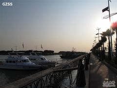 -大湾区中央湿地公园-十九涌
