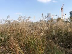 -上海山野camping·户外天幕烧烤·团建拓展营地