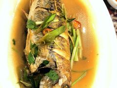 -长平肥姐白粥·海鲜打冷