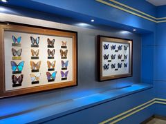 -上海昆虫博物馆