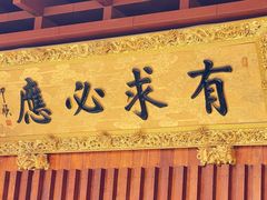 -深圳仙湖植物园