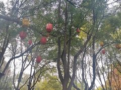 -天目湖山水园