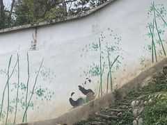 -中国大熊猫保护研究中心雅安碧峰峡基地