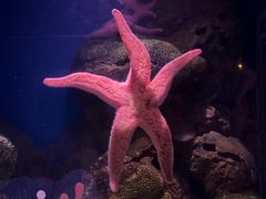 -香港海洋公园
