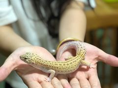 -藦茜花园宠物主题亲子互动体验馆(国顺东路店)