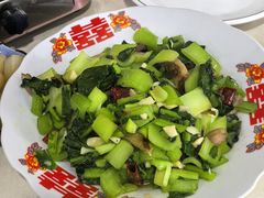 时令蔬菜-菁菁有味湖北恩施菜