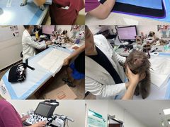 -美联众合动物医院·24h转诊中心