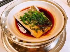 -福1015(愚园路店)