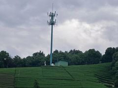 -龙坞茶村