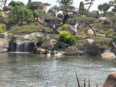 -罗红摄影艺术馆