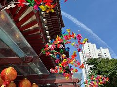 -新加坡佛牙寺龙华院