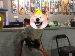 -TAC滑板滑雪俱乐部(朗园park店)