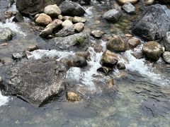 -石台牯牛降景区